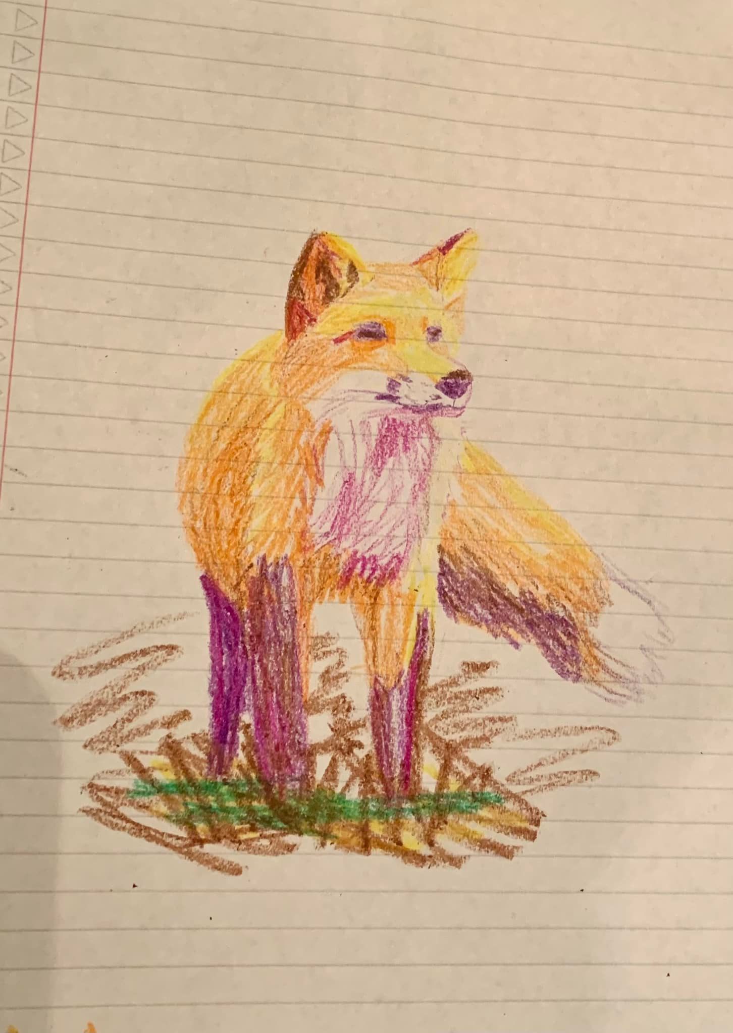 Random fox that Luka sketched during their Spanish class today! 🦊